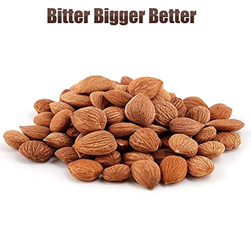 Mighty Apricot Mighty Apricot USDA Organic Bitter Apricot Kernels(1LB) 16oz, Natural Raw Bitter Apricot Seeds, Vegan, Non-GMO, Gluten Free, Great source of Vitamin B17 and B15