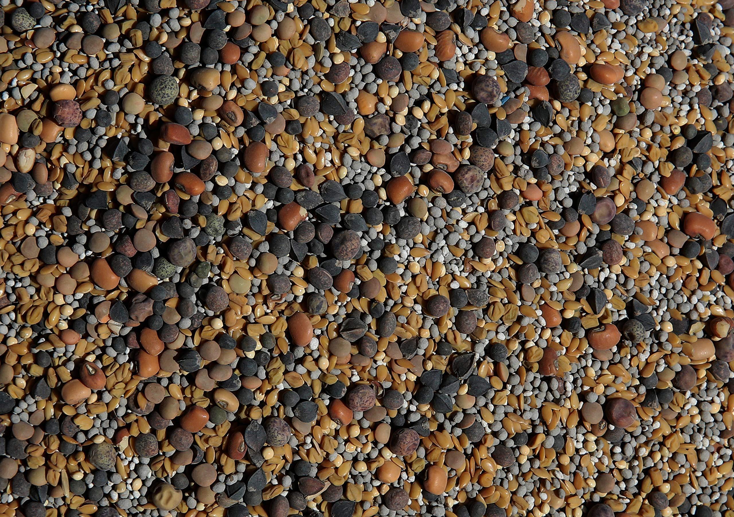 No-Till Solutions No-Till Cover Crop 13-Seed Mix: 50% Clovers Plus Fenugreek, Vetch, Flax, Cowpeas, Buckwheat, Forage Peas, Millet, Lentils (5-lb. Bag (Five Pound)