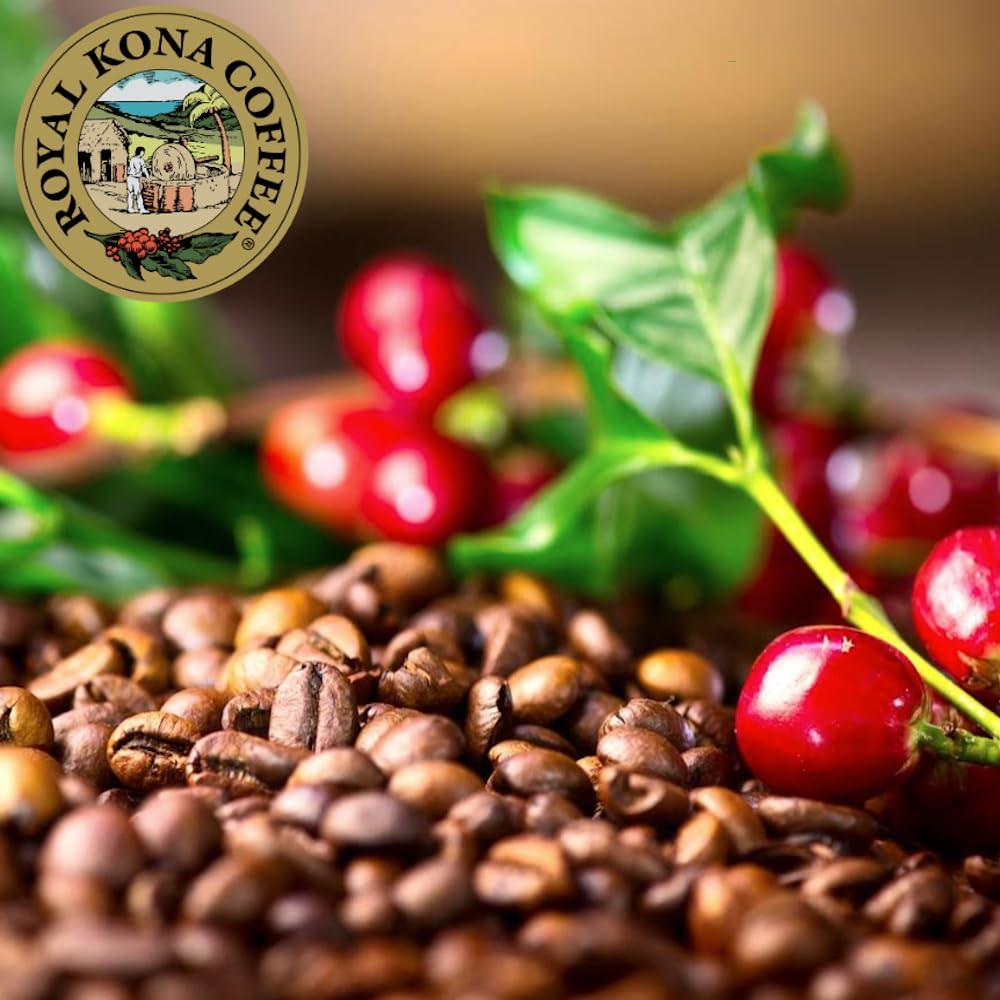 ROYAL KONA COFFEE FOR ROYALTY ROYAL KONA COFFEE - Medium Roast Ground Coffee, Mountain Roast Flavor, 8 Ounce
