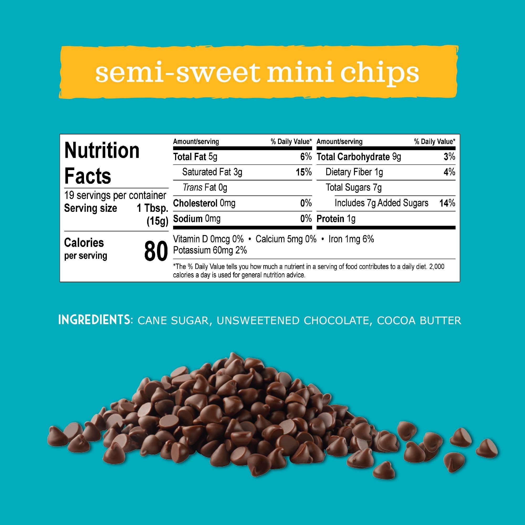 Enjoy Life Foods Enjoy Life Baking Chocolate Semi-Sweet Mini Chocolate Chips, Gluten Free, School Safe, Non GMO, Dairy Free, Soy Free, Vegan, Nut Free Chocolate, 12 Bags (10 oz) Bulk Chocolate