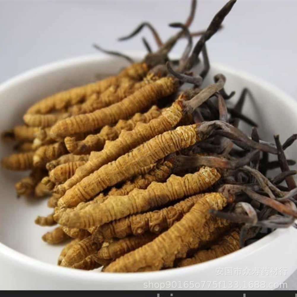 Generic Wild Himalayan Cordyceps Sinensis 5 Grams Chinese Caterpillar Fungus Dong Chong Xia Cao Cordyceps Sinensis Wild Cordyceps.