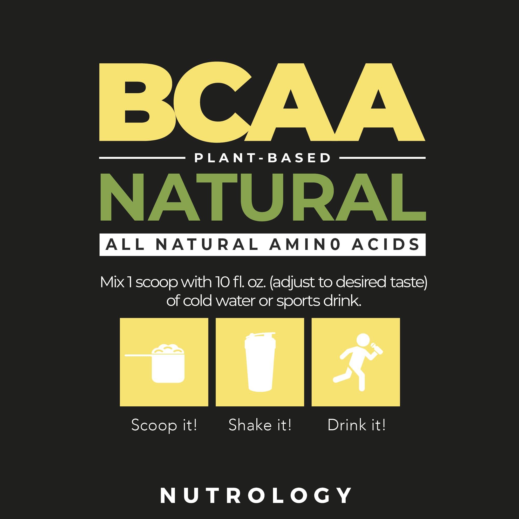 Nutrology Nutrology TRIPACT Protein Powder, 7-in-1 Meal Replacement Shake, Creamy Chocolate Flavor (20 Servings) BCAA Natural, Plant Based BCAA Powder, Lemonade Flavor (30 Servings)