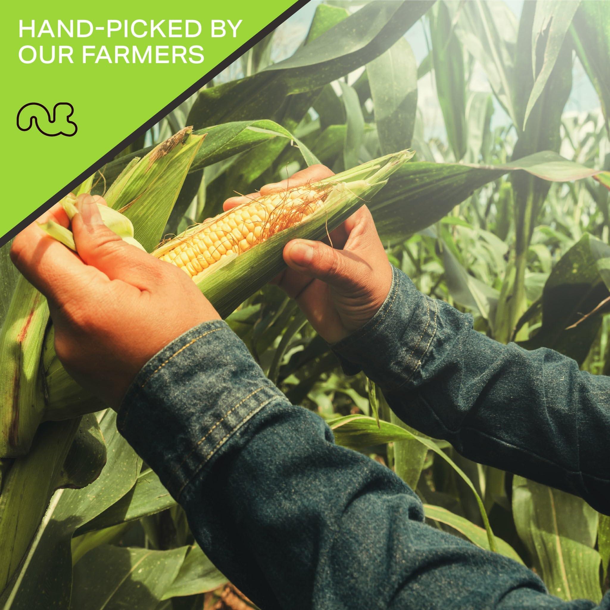 Nut Cravings NUT CRAVINGS - Toasted Crunchy Corn Kernels - Original Flavor Roasted & Salted (80oz - 5 LB) Packed Fresh in Resealable Bag - Healthy Snack, Protein Food, All Natural, Vegan, Kosher