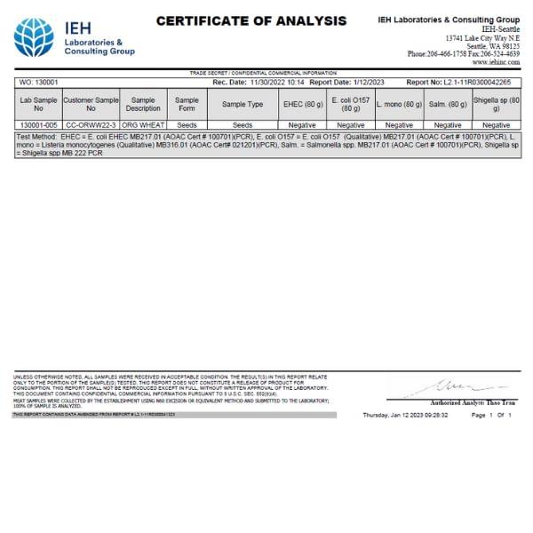 Bloomse Bulk Organic Wheatgrass Seeds Hard Red Winter Wheat Berries 5 Pound Pouch, Premium Sprouting Quality