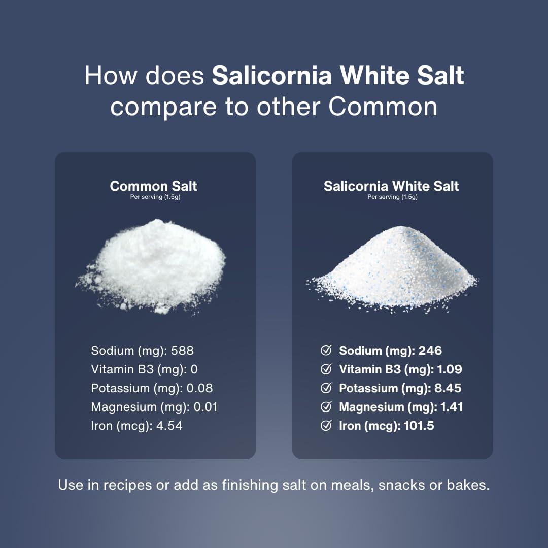 SaltWise SaltWise Low Sodium Salt Substitute, Plant Based Mineral Salt, Salicornia White Salt, Kosher, 100% Natural, No Additives (7.05 Oz / 200g)