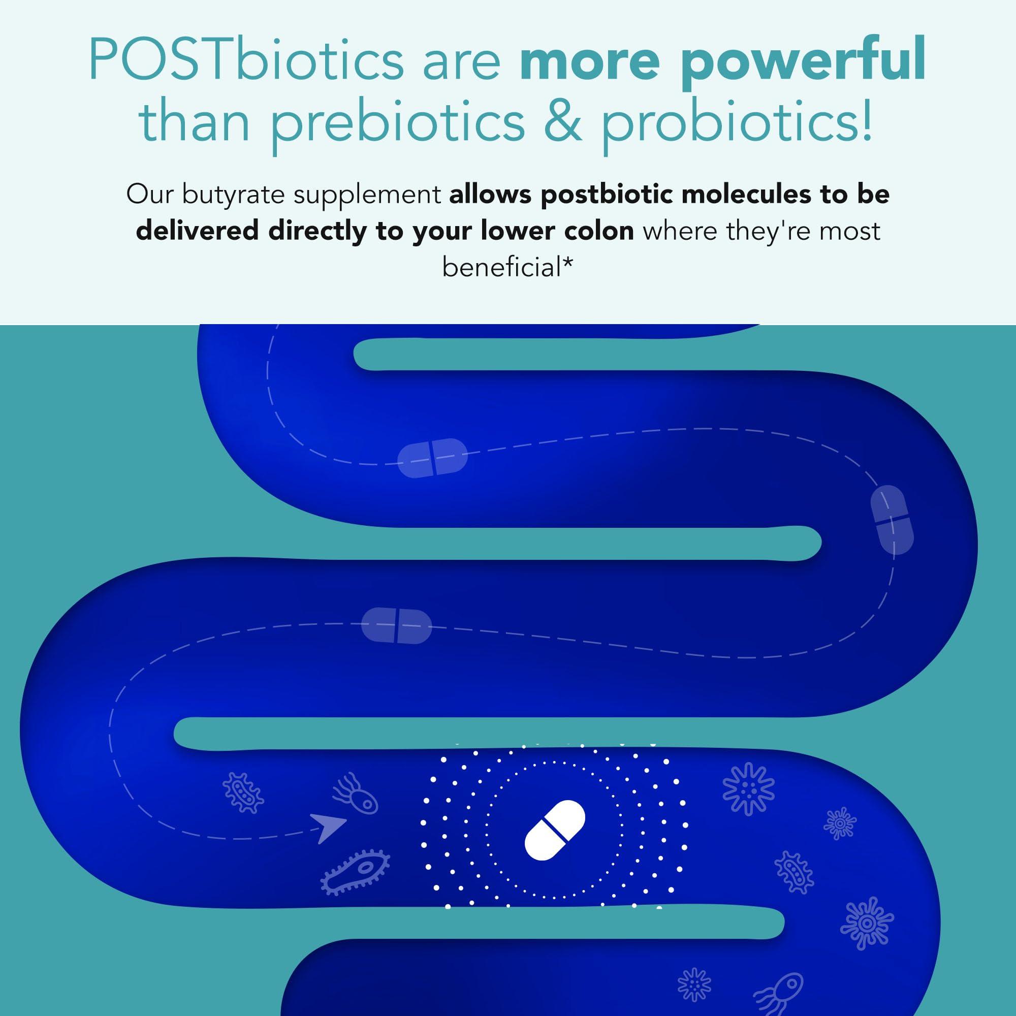 SANE SANE MD - Viscera 3 Postbiotics with Tributyrin - Sodium Butyrate Supplement for Gas and Bloating Relief - Gut Health - IBS & Leaky Gut Butyric Acid Supplement - NSF Certified - 30 Capsules