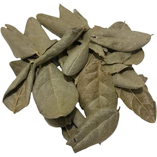 Gabio Green Boldo Dried Leaves, (3oz/85 GR) whole Boldo Leaf, 100% Natural Detox, Hojas De Boldo, Peumus Boldus Herbal Tea, Boldo Tea, Packaged in The USA (3oz)