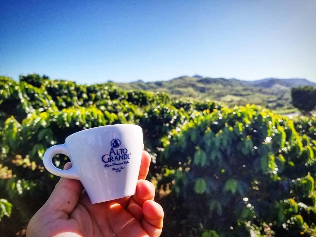 Alto Grande Alto Grande Super Premium Coffee Single Serve Capsules for Nespresso Machines, 100 Percent Arabica Coffee From Puerto Rico (Caracolillo, 18 Count)