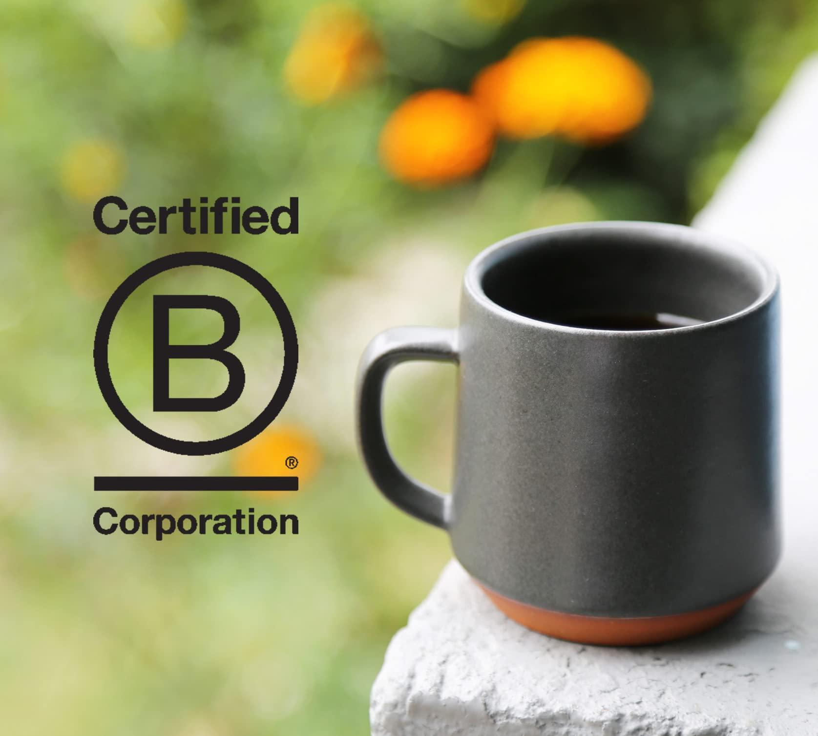 Counter Culture Coffee Counter Culture Coffee Slow Motion Decaf - Medium Roast, Organic, Sustainably Farmed, Kosher, Whole Bean Coffee, 12 oz (1 Bag)