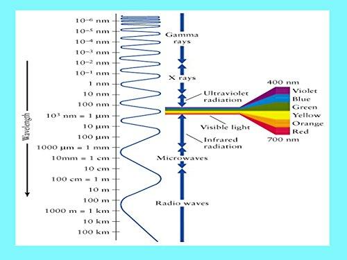 COLOR VIPER NEW ColorViper Real Tree Bamboo wood Temples Reading Glasses (2981 shiny black/wood temple, 1.00)