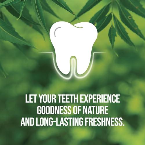 NEEM ACTIVE Neem Active Toothpaste 200 gram Pack