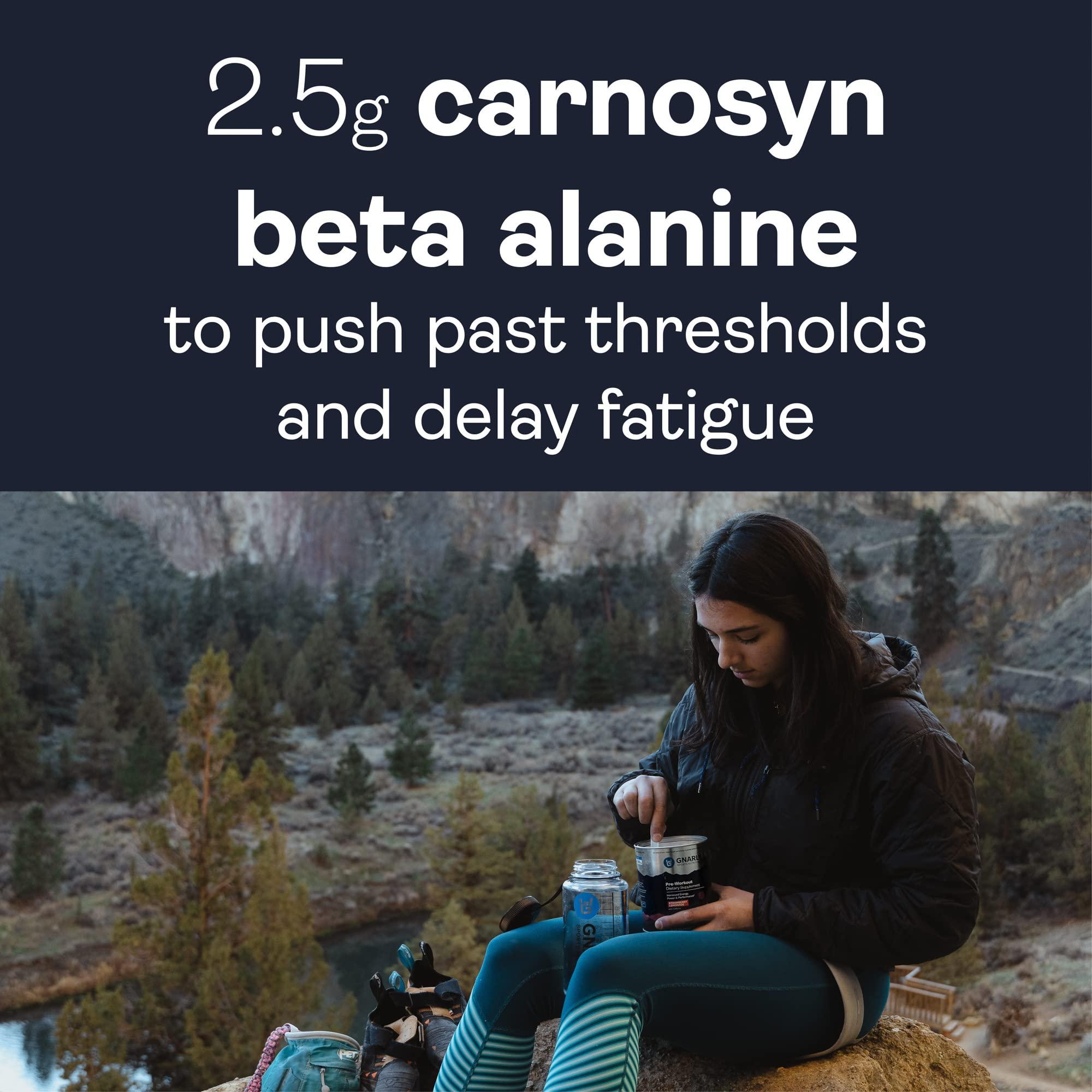 Gnarly Nutrition Gnarly Nutrition Natural Pre-Workout Powder - Endurance & Recovery, NSF Contents Certified, Vegan Pre Workout Wellness, Sports Nutrition - Mango, Caffeine 14.82oz