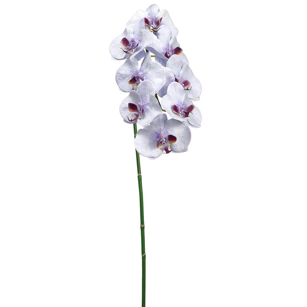 SilksAreForever 40\" Handwrapped Phalaenopsis Orchid Silk Flower Stem -White/Purple (Pack of 6)