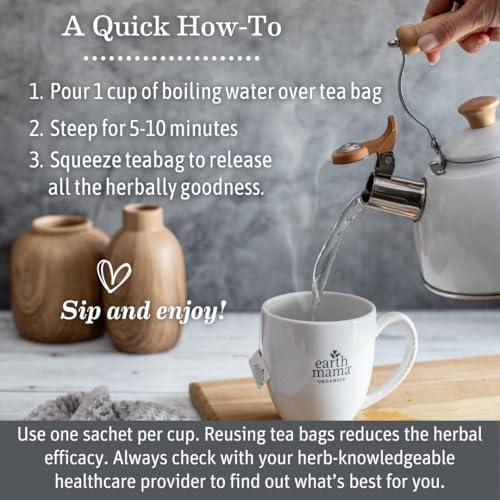 Earth Mama Earth Mama Organic Ginger Nausea Tea | Comforts Occasional Nausea + Morning Sickness, 16 Teabags Per Box (6-Pack)