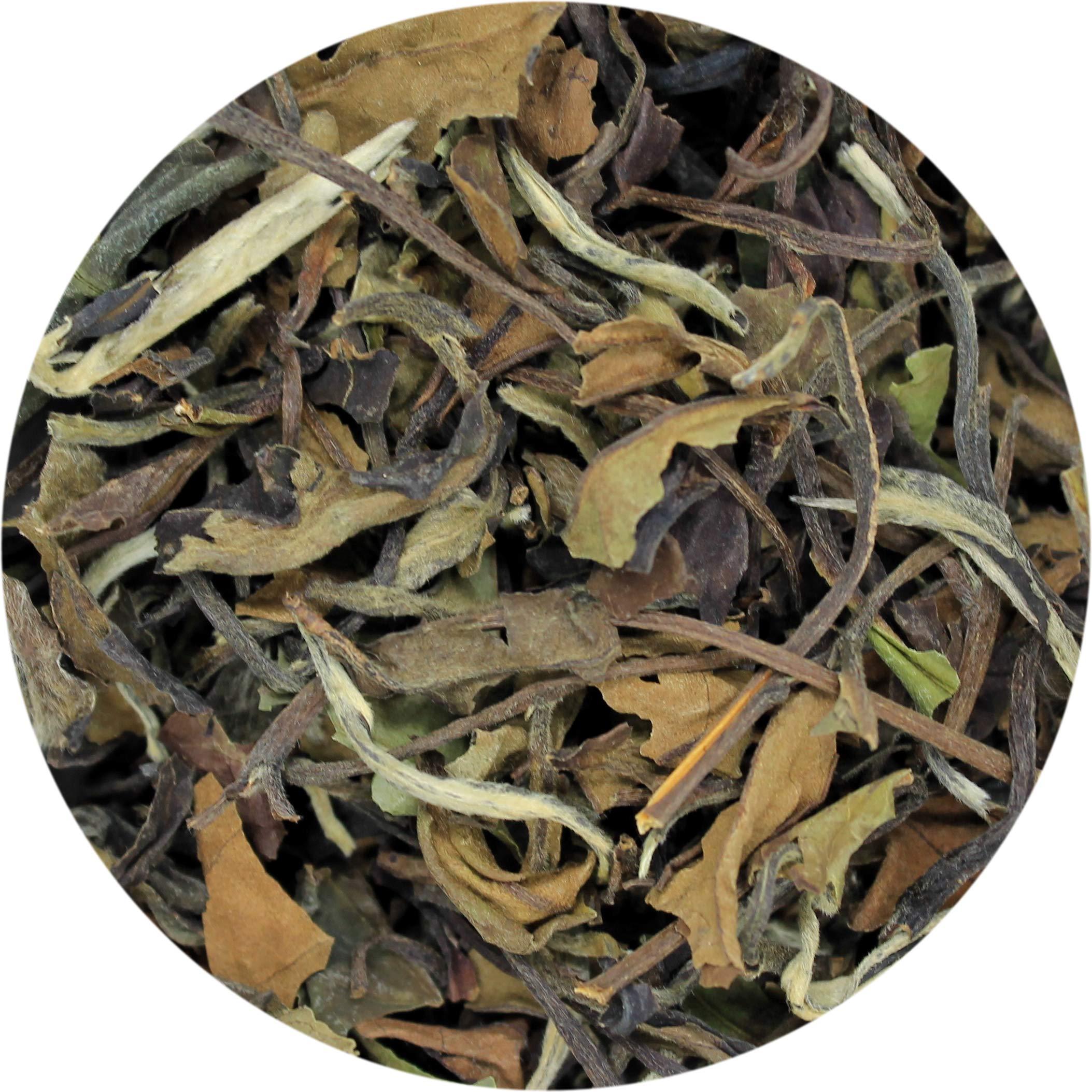 SpecialTea Company Bai Mu Dan Superior White Tea Pyramid 15 Sachets