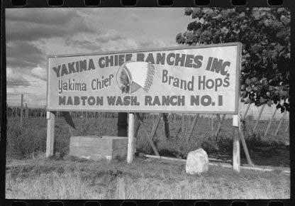 Yakima Chief Yakima Chief CITRA 2oz AMERICAN NOBLE HOPS: Low Alpha Acid for Delicate Beers