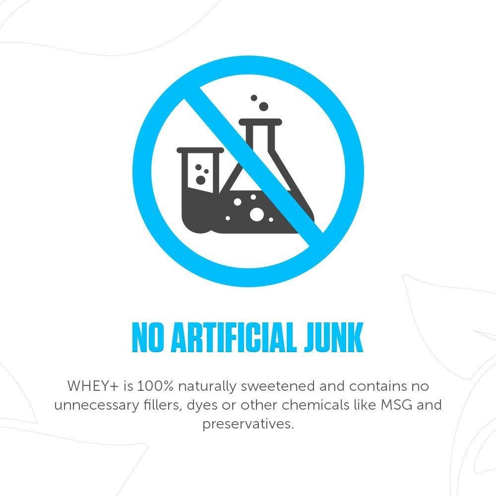 LEGION LEGION Whey+ Whey Protein Powder (French Vanilla) - Low Calorie Whey Isolate Protein Powder - Non-GMO, Lactose-Free, Sugar-Free Whey Protein Isolate Powder - Grass Fed Protein (60 Servings)