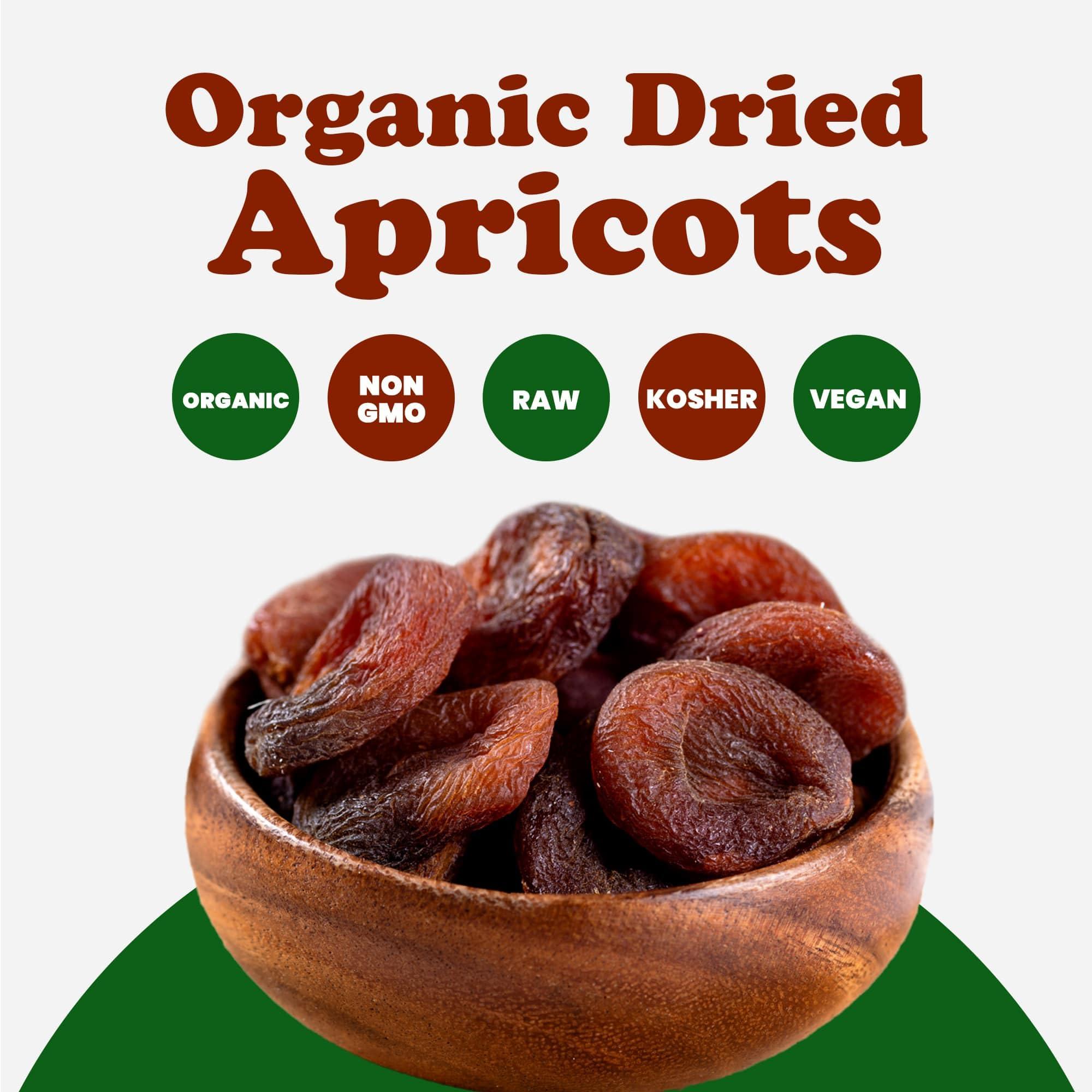 Food to Live Food to Live Organic Dried Apricots, 14 Pounds Non-GMO, Kosher, Unsulfured, Raw, Vegan, Bulk