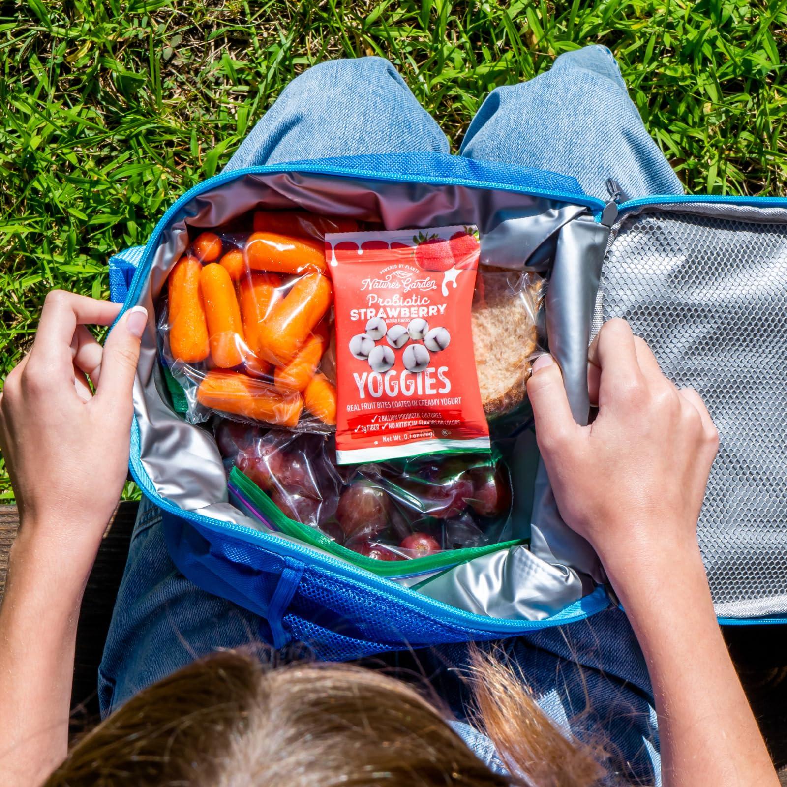 Nature\'s Garden Nature\'s Garden Probiotic Strawberry Yoggies 12 x 0.7oz (Pack of 4) Yogurt-covered Fruit Snack in Carton, Yoggie Fruit Bites, High Fiber, Healthy Snacks Variety Pack For Adults, Gluten Free, Non GMO, No Artificial Ingredients