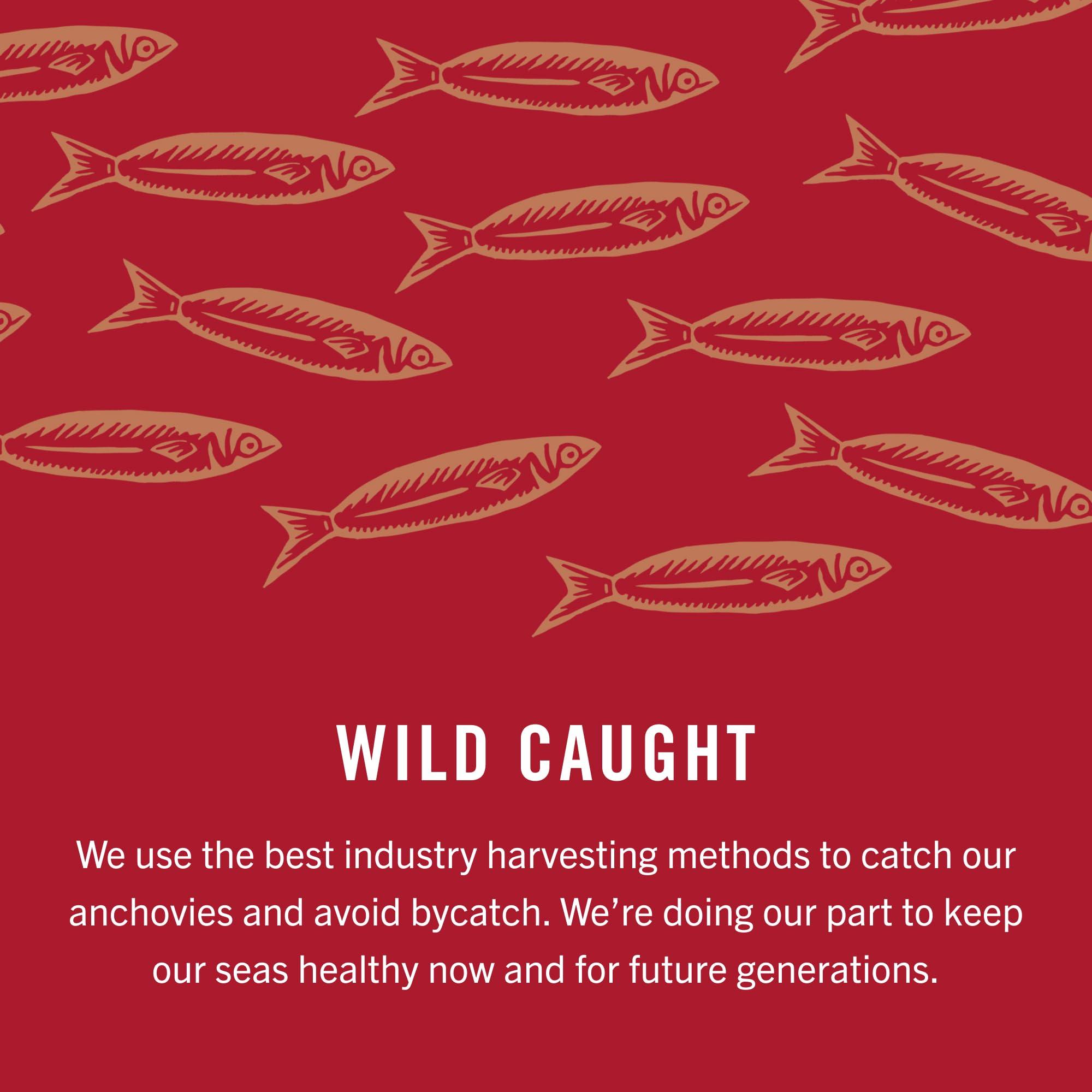 King Oscar King Oscar Anchovies Fillets in Olive Oil, 2 Ounce Can (Pack of 1), Wild Caught Canned Anchovies