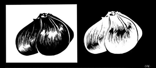 EGC Elephant Garlic organic seeds for Planting Non GMO Milder great Tasting Garlic. Ship from Amazon sell by Effective Trade