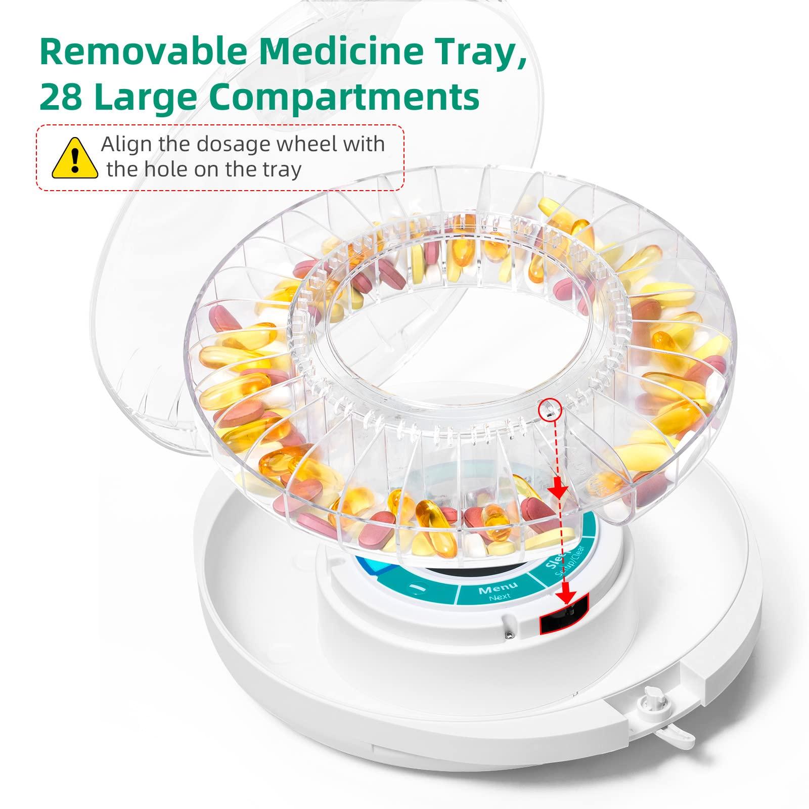 Sfoglini Sfoglini Organic Durum Semolina Zucca, 16 oz