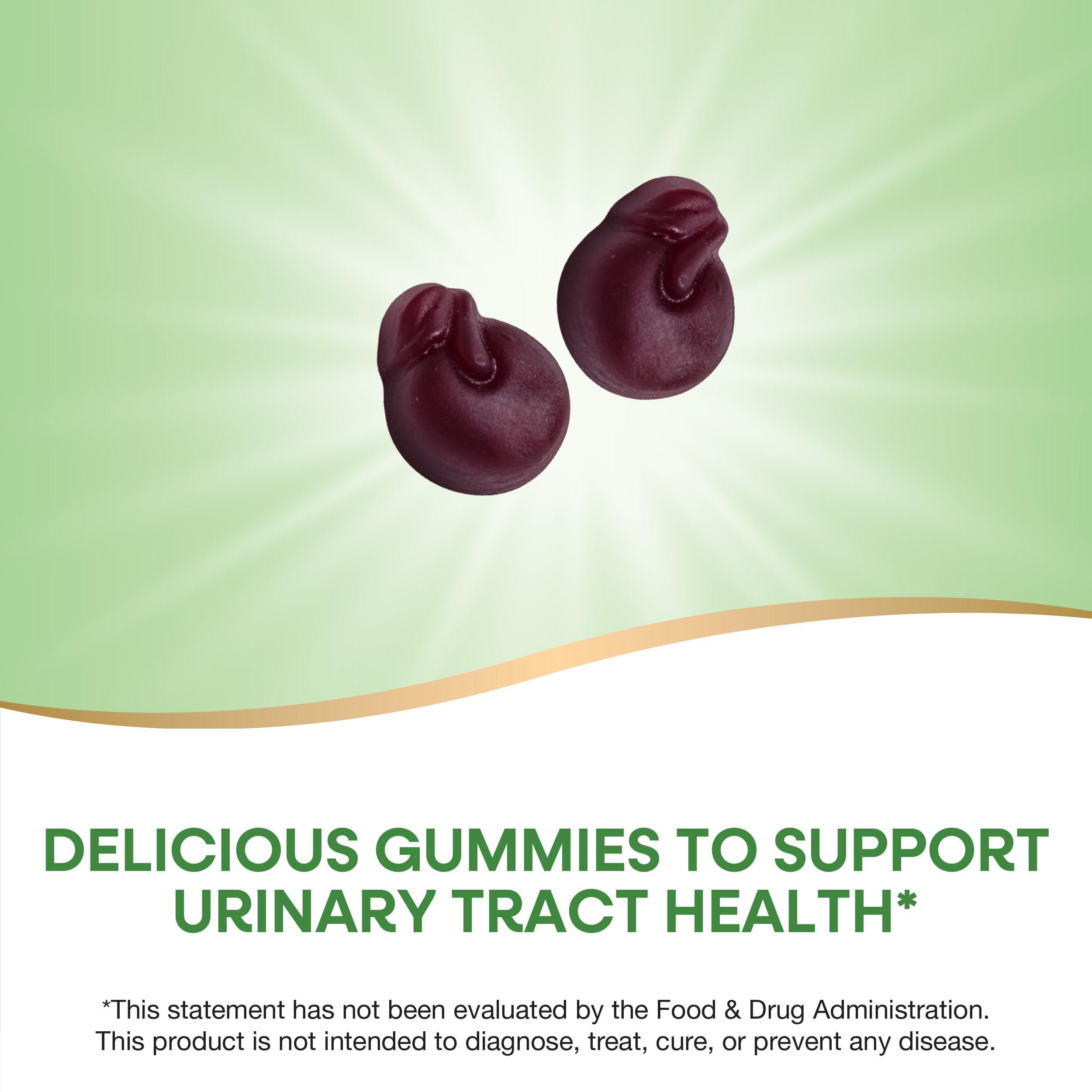 The Republic of Tea The Republic of Tea Caramel Vanilla Cuppa Cake, 50 Tea Bags, Blended Fine Black Tea, Gluten-Free