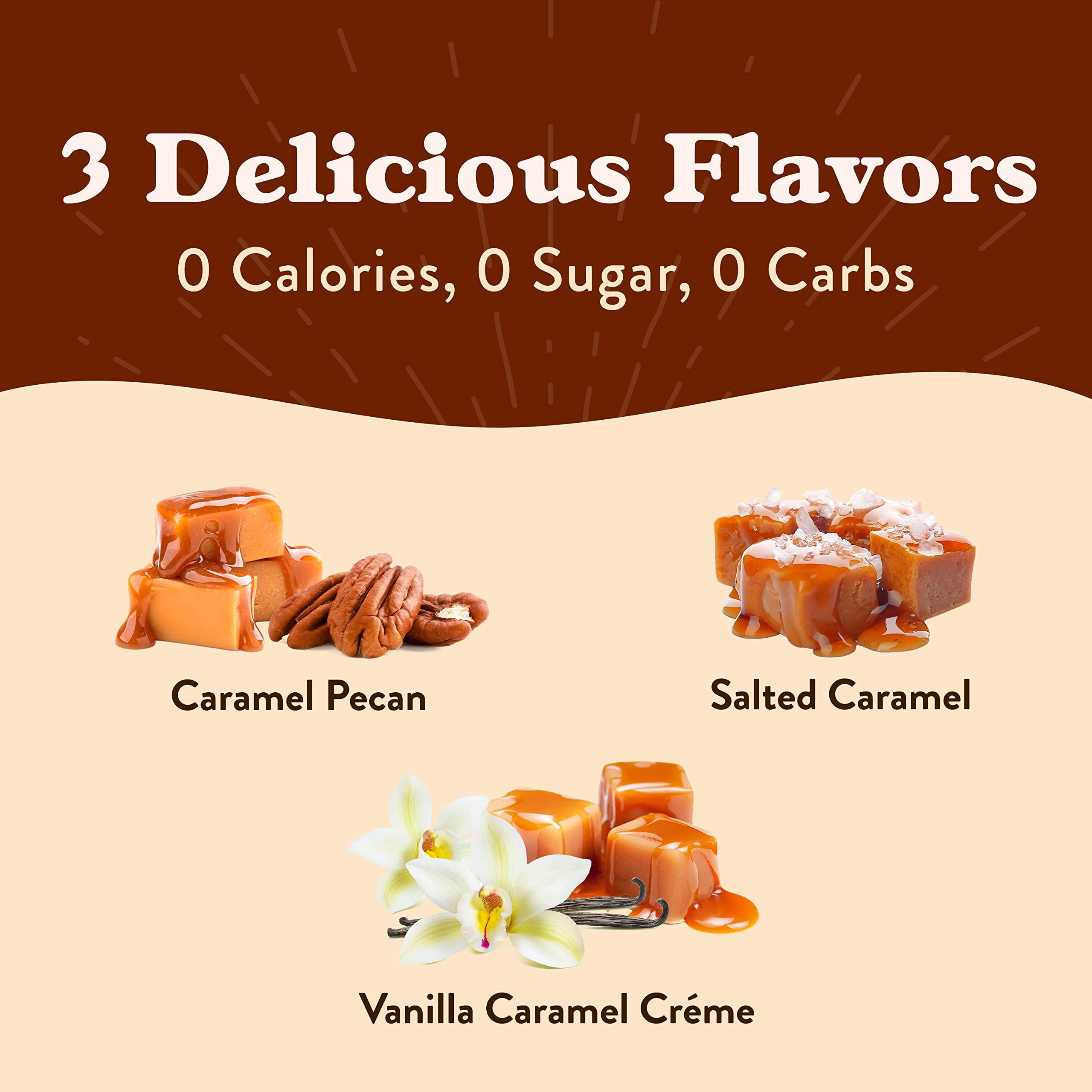 Paromi Paromi Hibiscus Berry Organic Herbal Tea, Signature Jar, 15 Count