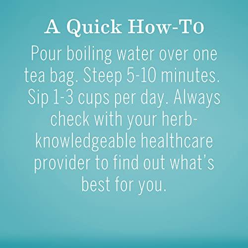 Earth Mama Earth Mama Organic Ginger Nausea Tea | Comforts Occasional Nausea + Morning Sickness, 16 Teabags Per Box