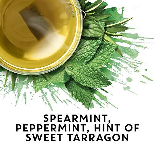 TAZO TAZO REFRESH Mint Herbal Tea Bags Caffeine-Free 20 Herbal Tea Bags