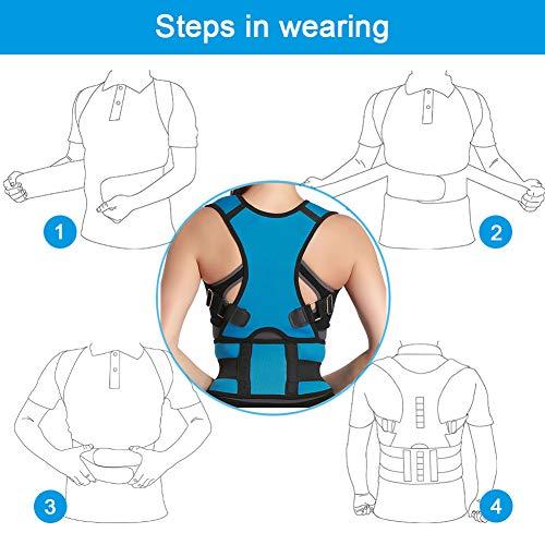 Panegy Panegy Comfort Posture Corrector Brace Posture Correction Elastic Clavicle Belt Adjustable Posture Back Support Corrector Brace Lumbar Brace Back Shoulder Support Band Size M Light Blue