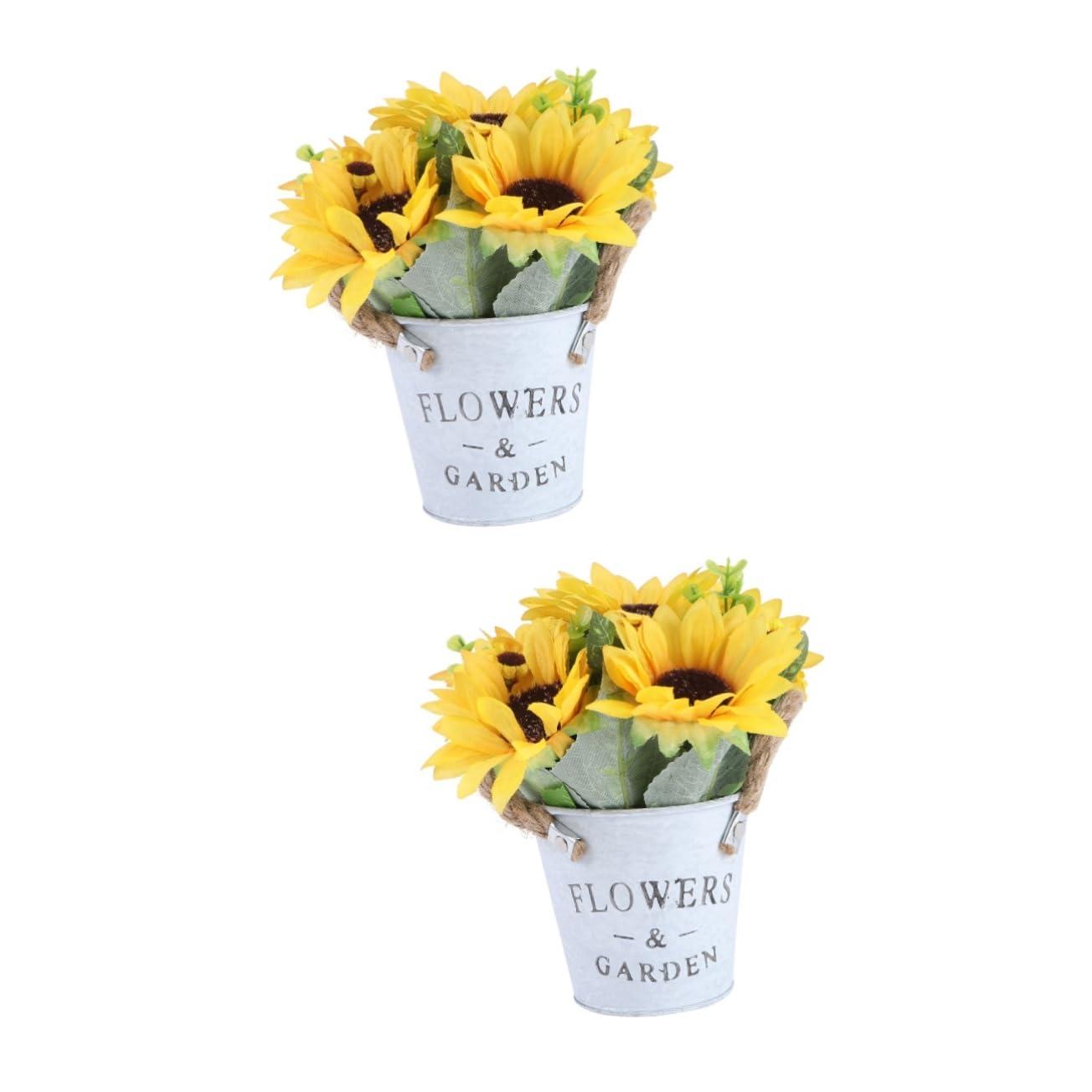 Florastor Florastor Family Probiotic Bundle - 100 ct. Probiotic for Digestive & Immune Health for Men & Women + 20 ct. Kids Daily Probiotic, Unflavored Powder Sticks - Boost Good Bacteria & Flush Out The Bad