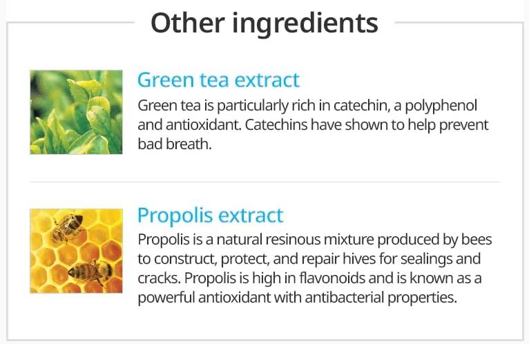 BC233 Korean Toothpaste Propolis Bees Dental Oral Care System (7.05 Oz x 2 pcs)