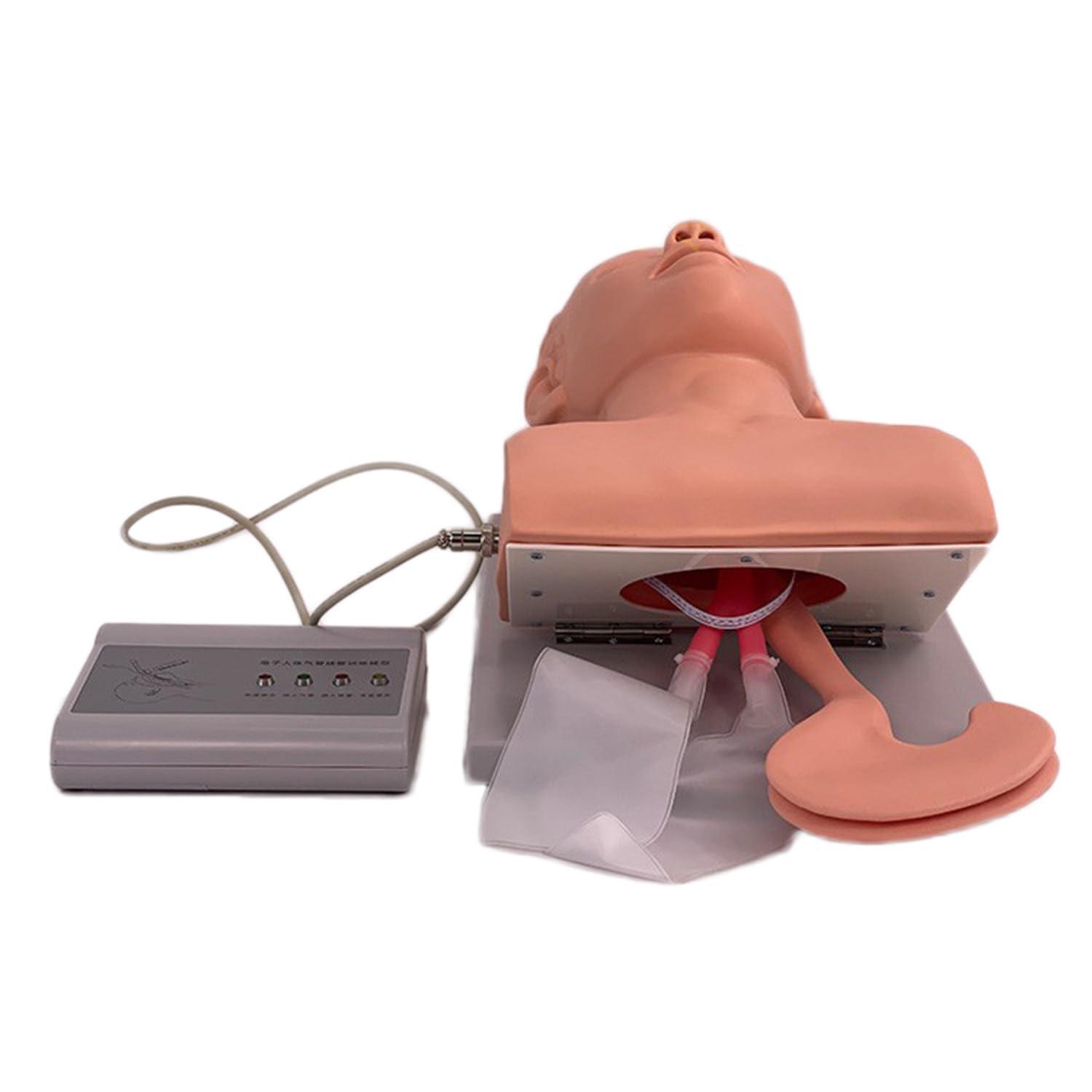 DAZULI Intubation Manikin Training Nursing Mannequin PVC Oral Nasal Intubation Manikin with Tooth Alarm Device Simulator Airway Management Trainer Intubation Head Teaching,220V