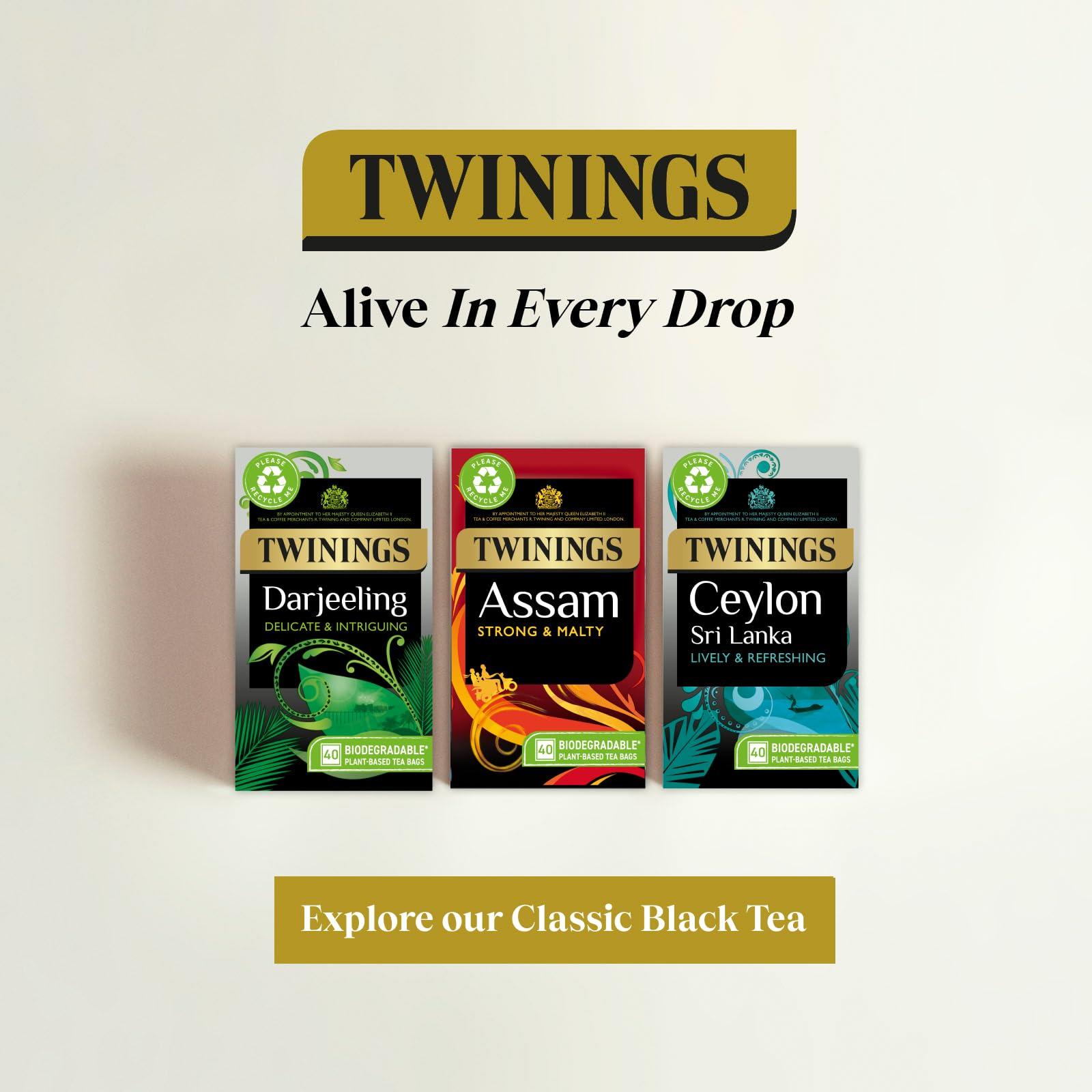 Twinings Twinings Assam Tea 80 (Pack of 4)