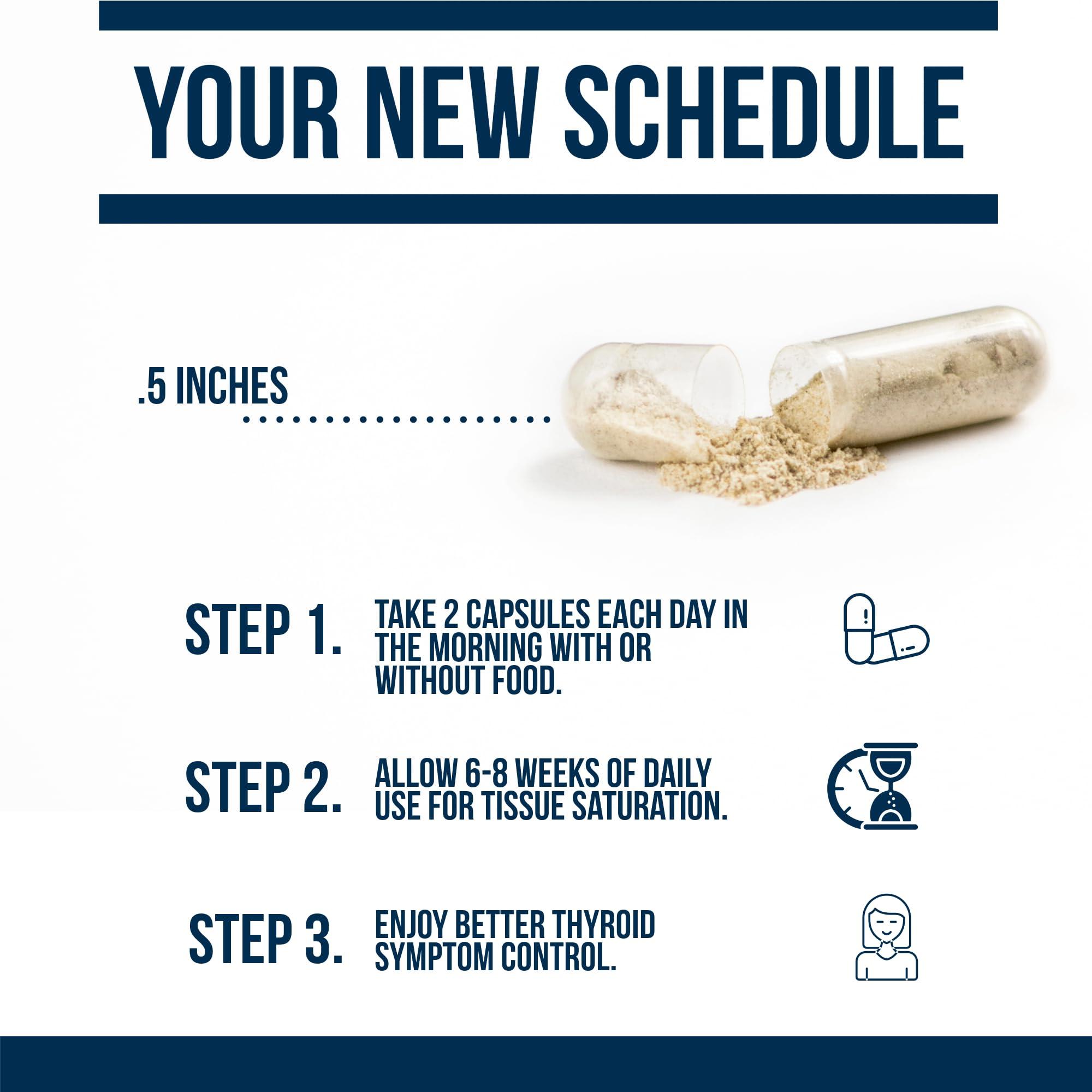 Dr. Westin Childs Dr. Westin Childs - T3 Conversion Booster - Thyroid Support for Women with Hypothyroidism & Hashimotos - Iodine, Ashwagandha, Guggul Extract, Selenium & Zinc Complex - 60 Servings