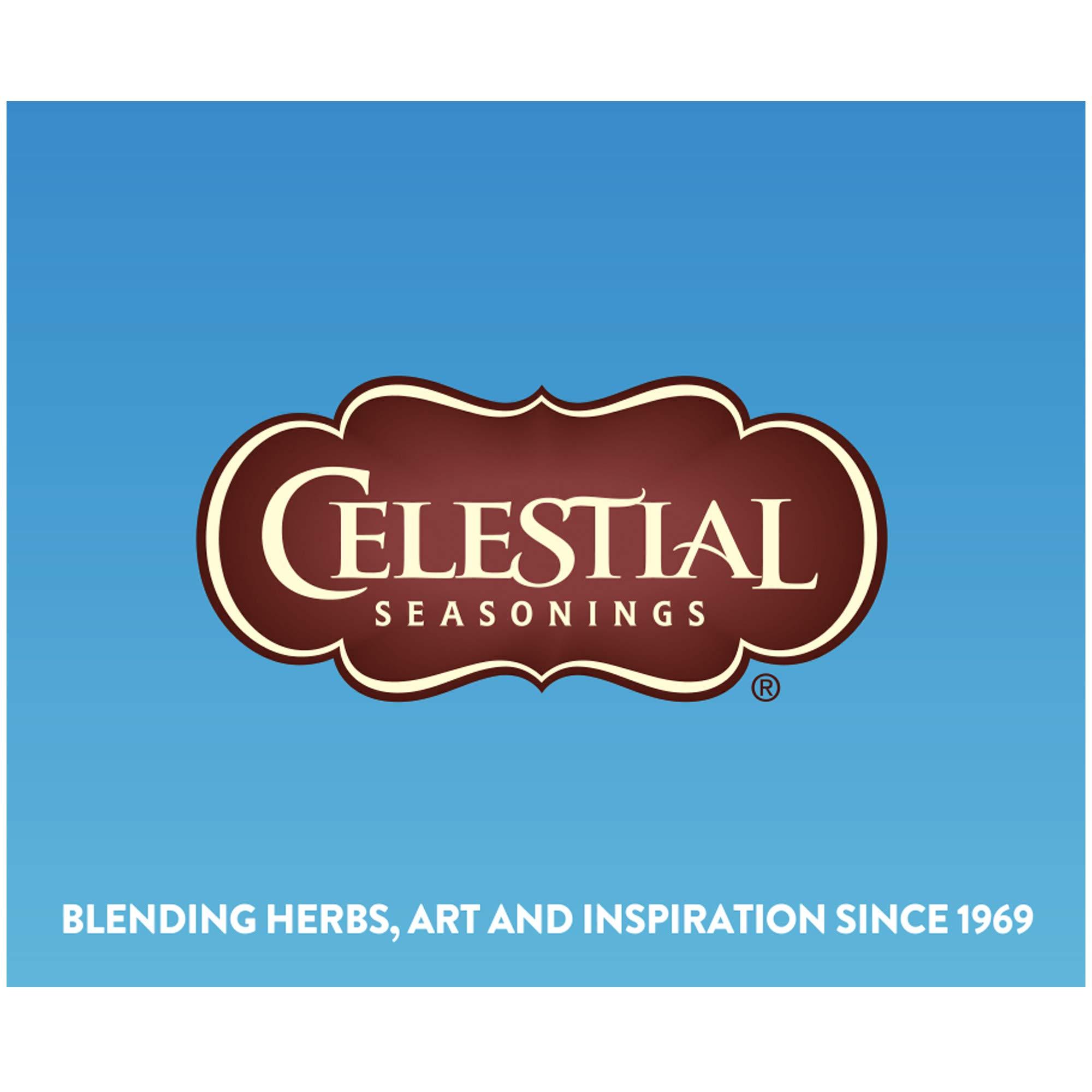 Celestial Seasonings Celestial Seasonings Cold Brew Red, White & Blueberry Iced Tea Bags 18 tea bags