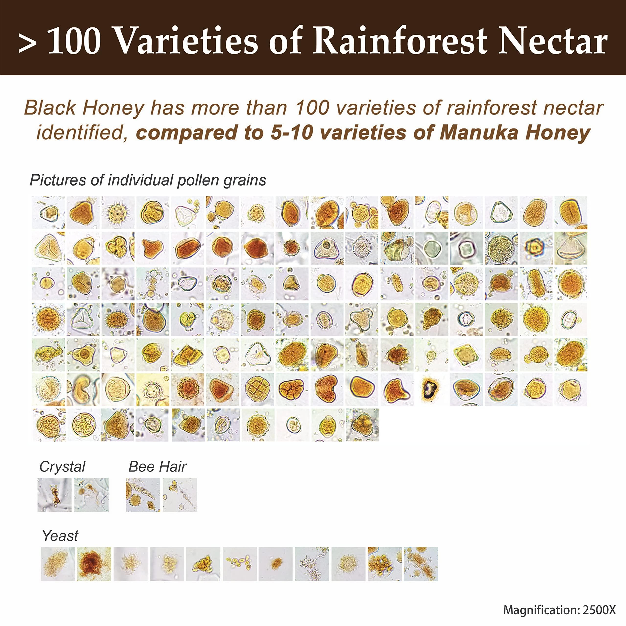 Health Harvest Tualang Black Honey 10oz (TA 11.5+, Pollen Count 4.0M+, Pollen Variety 100+) Intense Choice for Women Preservation, Wild-ripening on 250ft Treetop, Raw, Unpasteurised, Unfiltered