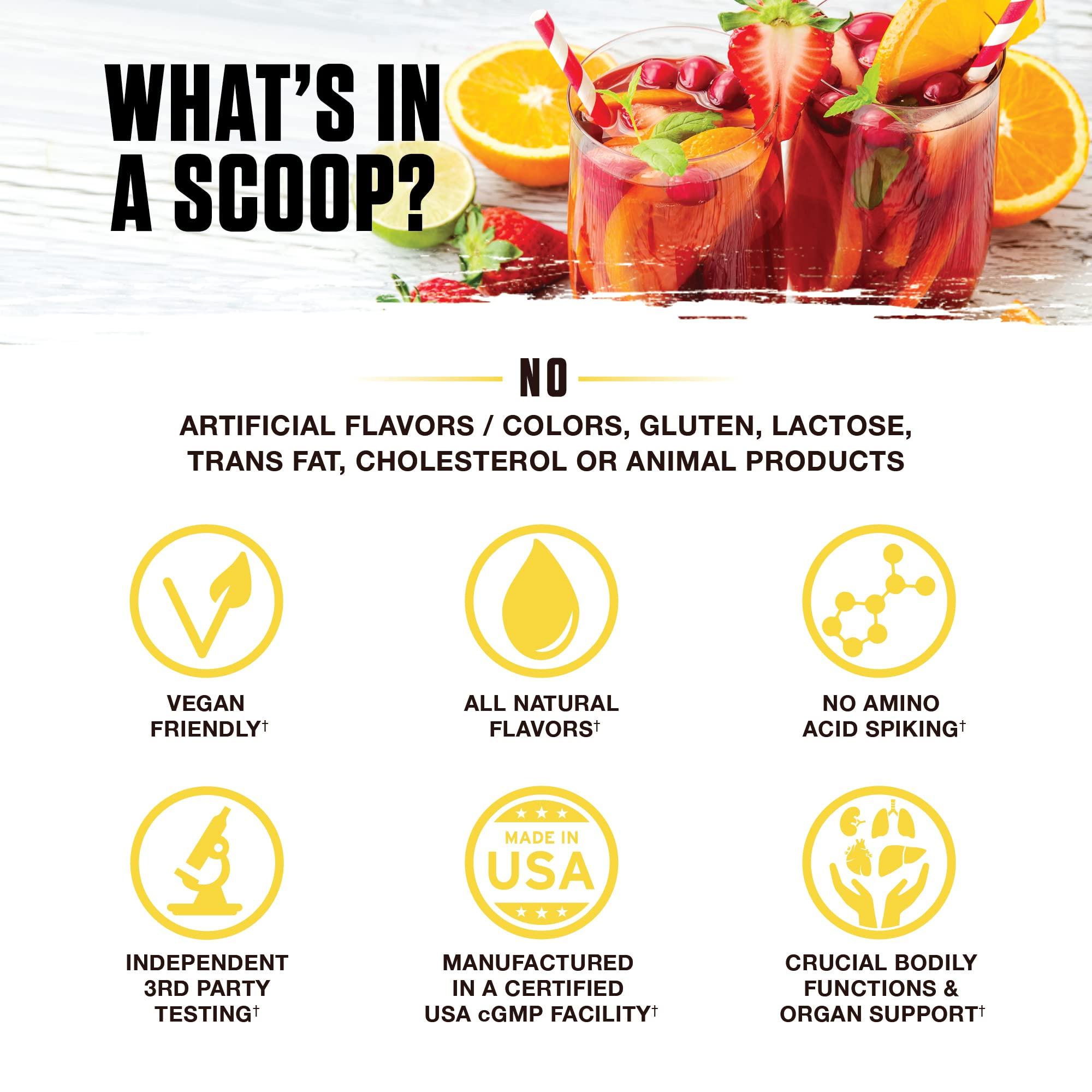 Ambrosia Ambrosia Nektar - Superfood Powder | Complete Health Supplement | 30 Servings (Fruit Symphony)