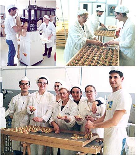 Donne Del Grano Donne Del Grano Organic Gourmet Italian Vegetable Colored Rainbow Bow Tie Pasta Noodles, 8.8 Oz (250 grams), Pack of 2 bags