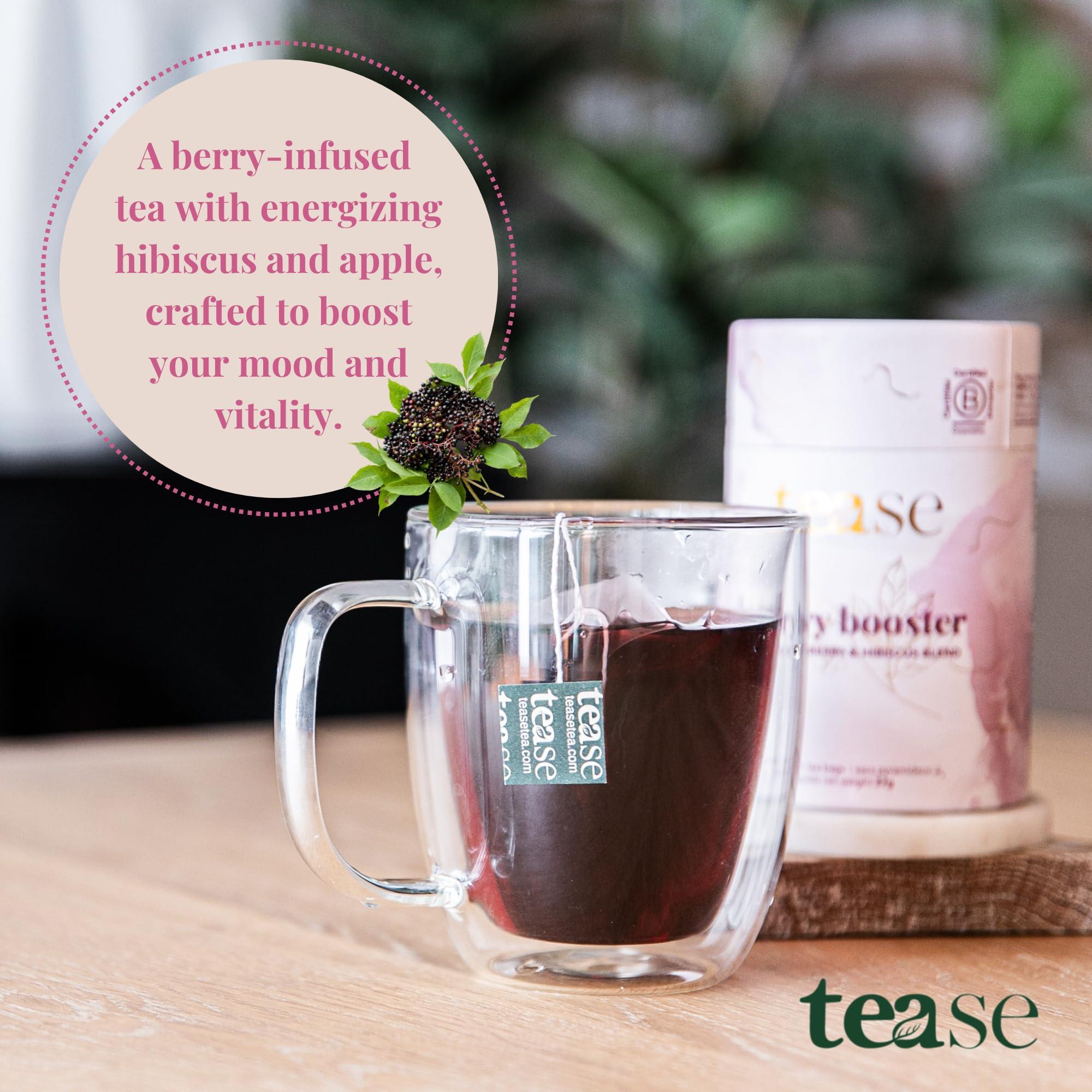 Tease Tease Tea Organic Tea Gift Set | 15 Piece Botanical Pyramid Tea Bag Infuser Sachets Luxury Wellness Tea Lovers Kit Loose Leaf Blend with Elderberry, Currant, Hibiscus Caffeine Free 37g (Berry Booster)