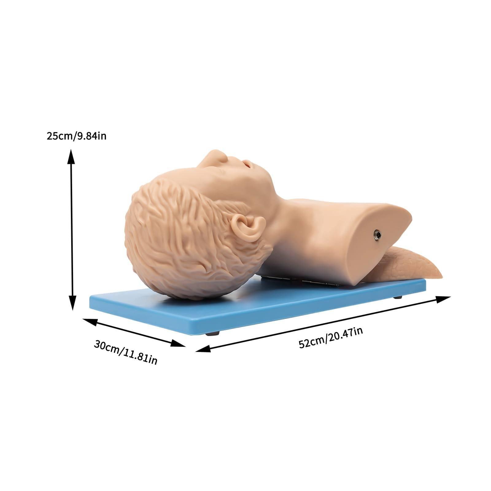 JINGEDD JINGEDD Intubation Trainer Manikin Teaching Model,Adult Intubation Manikin Kit Airway Management Intubation Tracheal Manikin Oral Nasal Intubation Training Airway Trainer Simulator Model
