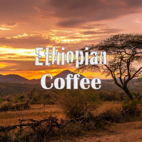 Volcanica Coffee Ethiopian Coffee, Yirgacheffe Region, USDA Organic, Ground, Kosher, Fresh Roasted, 16-ounce