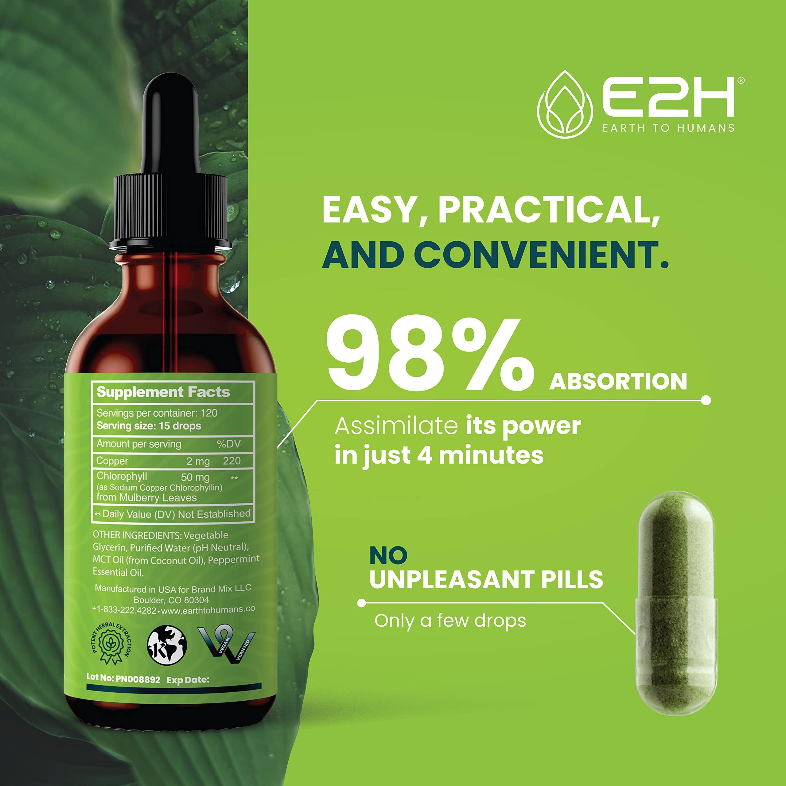 E2H EARTH TO HUMANS E2H Chlorophyll Liquid Drops - Natural Energy Booster, Immune System Support and Internal Deodorant - Peppermint Flavor - 2 Fl Oz