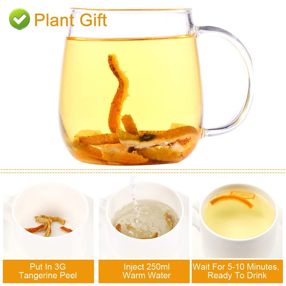 Plant Gift 100% Dried Tangerine Peel Tea 80G/2.82oz Chinese Seasoning Dried Tangerine Peel Strip Chen Pi Si , Dried Orange Peel,Dried Tangerine Peel Strip,Orange peel strips