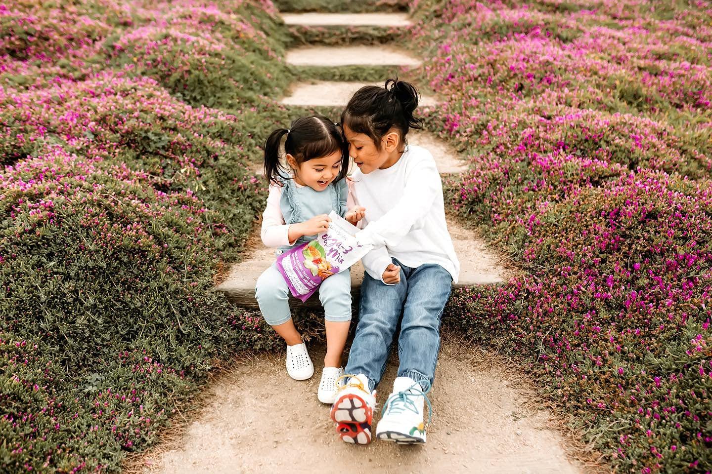 Nature's Garden Nature's Garden Omega 3 Deluxe Mix - Healthy Trail Mix, Power Up Mega Omega Trail Mix Nuts, Heart Healthy, Gluten Free, Cholesterol Free, Sodium Free, No Artificial Ingredients - 40 Oz Bag