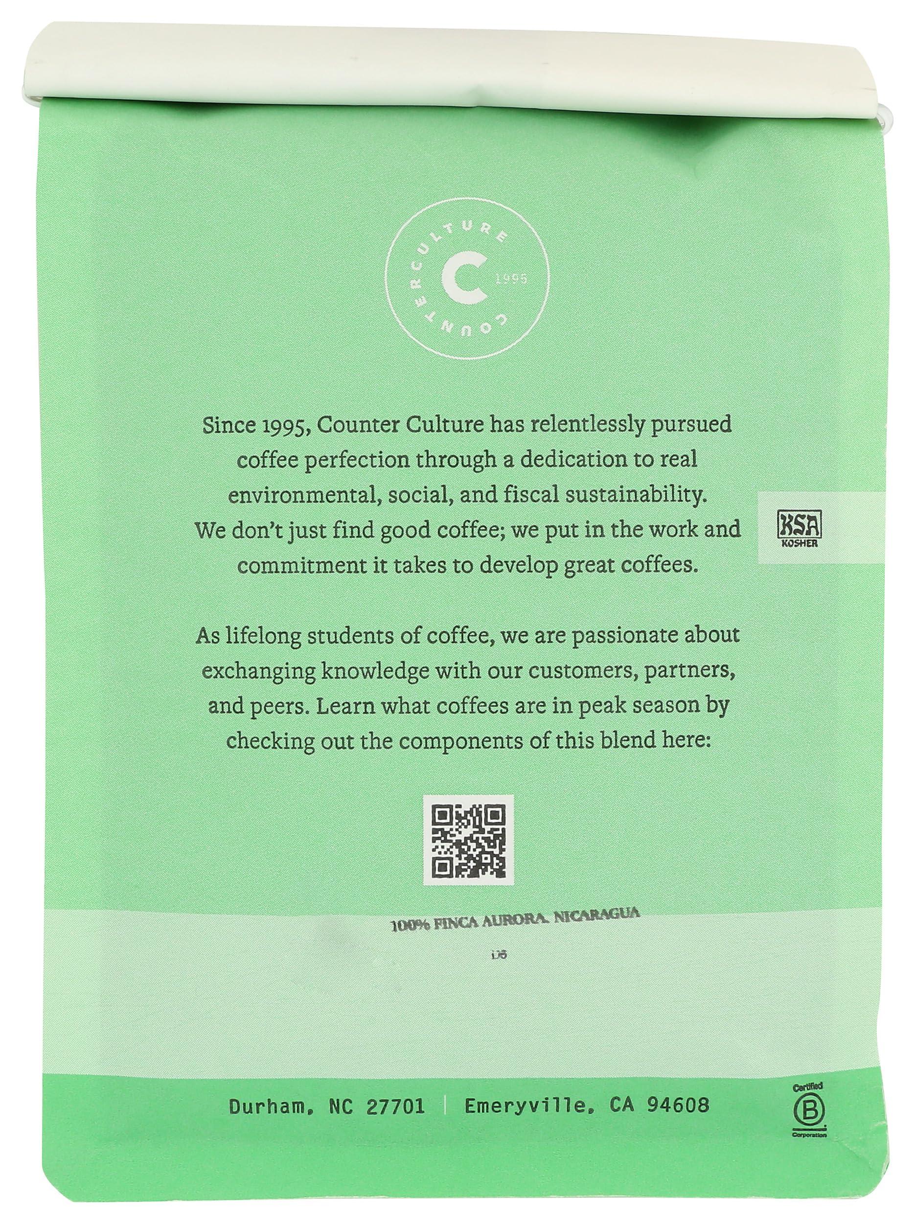 Counter Culture Coffee COUNTER CULTURE COFFEE Big Trouble Blend Whole Bean Coffee, 24 OZ