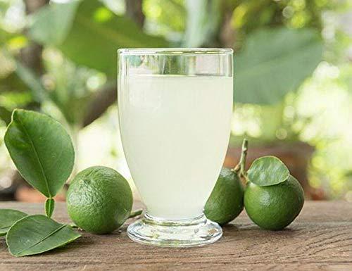 aro Lime Powder Seasoning for Food Cooking Nature Identical Flavour 400 g