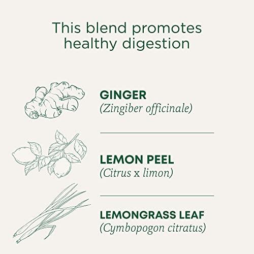 Traditional Medicinals Traditional Medicinals Tea, Organic Lemon Ginger, Promotes Healthy Digestion, 16 Tea Bags (Pack of 2)