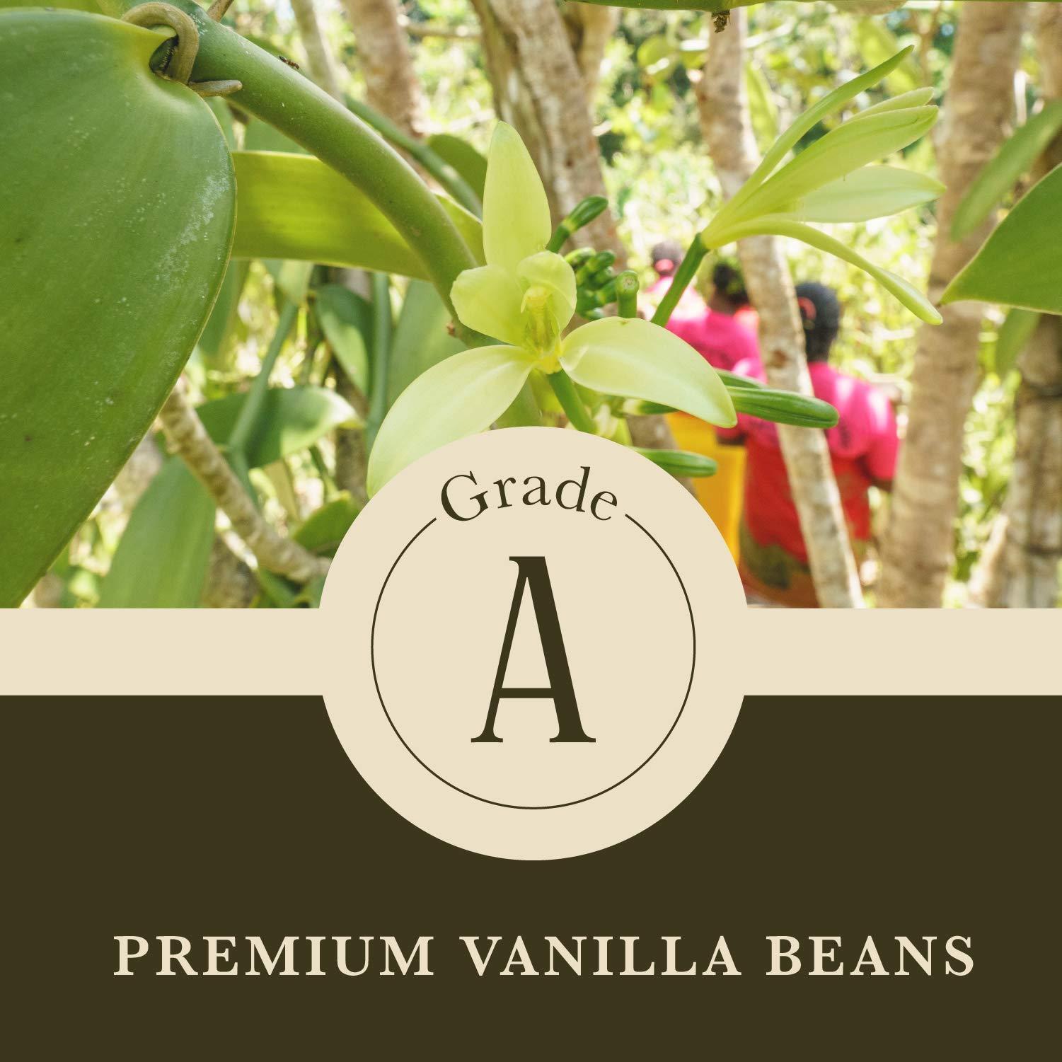 COOK'S 16 oz (1 lb) Organic Madagascar Whole Vanilla Beans, Grade A Vanilla Pods, Premium Vanilla Beans for Making Extract & Baking - Cooks